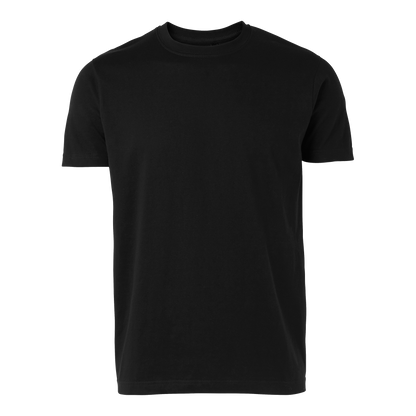 Basic T-shirt - South West