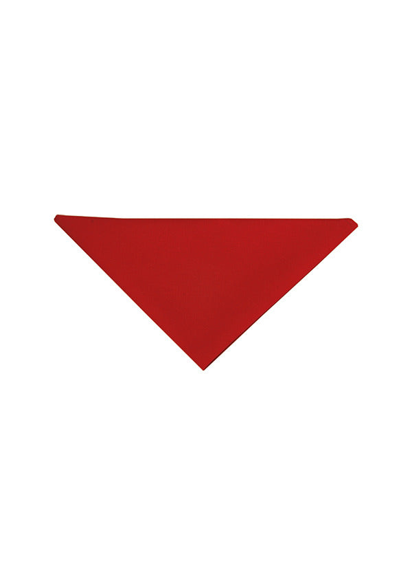 Karlowsky AD 1 Scarf - Red