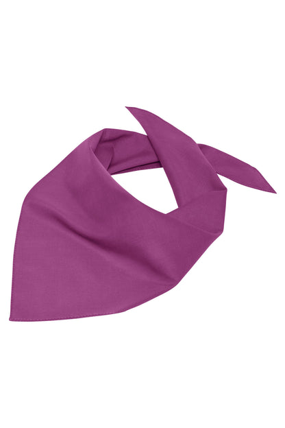 Triangular Scarf - Purple